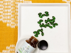 ʮ��ִҵ��ҩʦ��ѵ����_�ṩ��������γ�/