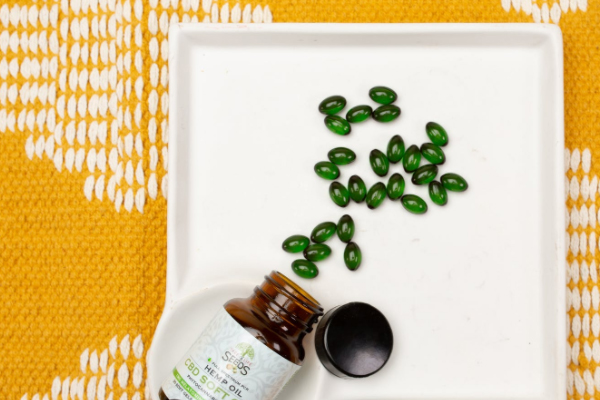 ʮ��ִҵ��ҩʦ��ѵ����_�ṩ��������γ�