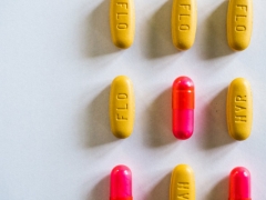 ����ִҵ��ҩʦ��ѵ����_�ṩ��������γ�/