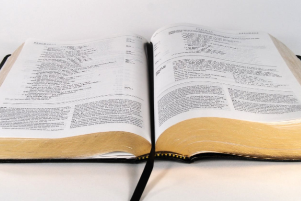 �������и�����ѵ���ĸ���_�շѼ۸����Ǯ-�����Ƽ�