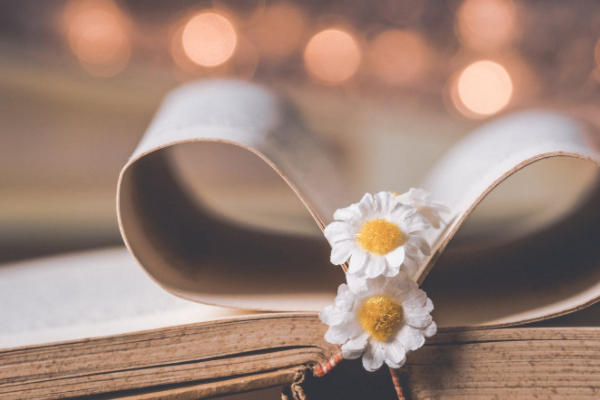 ʯ��ׯ���и�����ѵ���ĸ���_�շѼ۸����Ǯ-�����Ƽ�