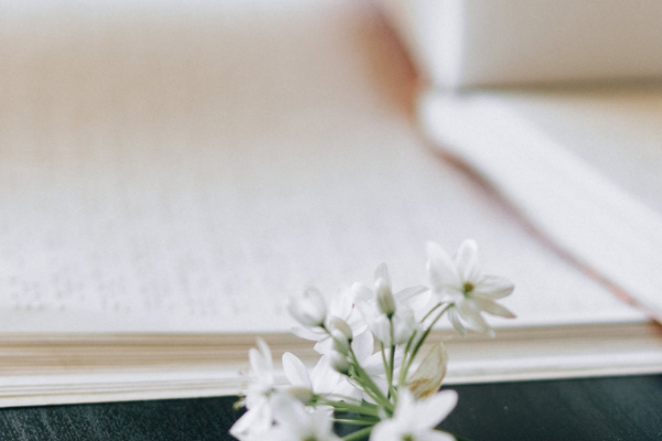 ��̨���и�����ѵ���ĸ���_�շѼ۸����Ǯ-�����Ƽ�