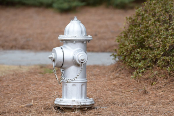 ��������֤ȥ���￼��ô����