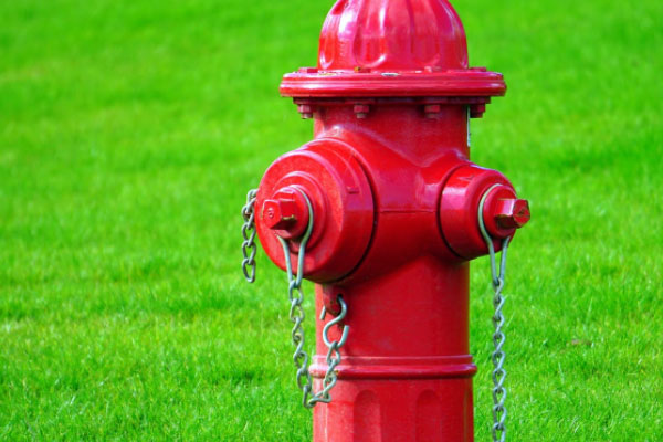 ��������֤ȥ���￼��ô����