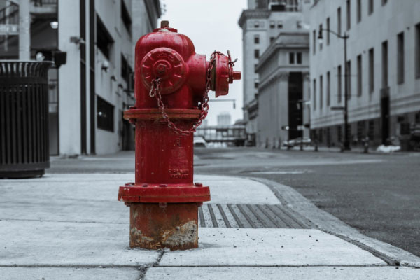 �˴�����֤ȥ���￼��ô����