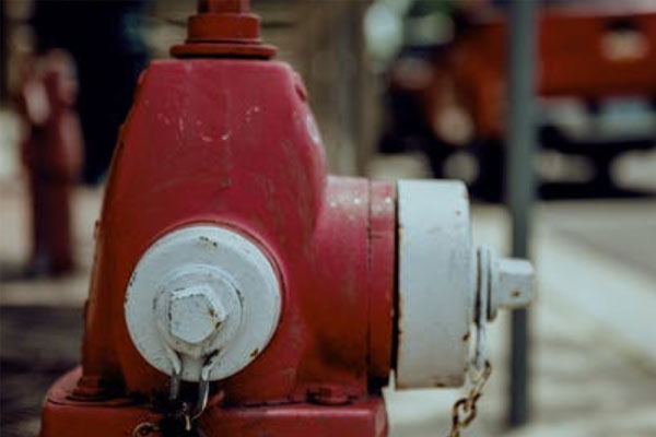 ��������֤ȥ���￼��ô����