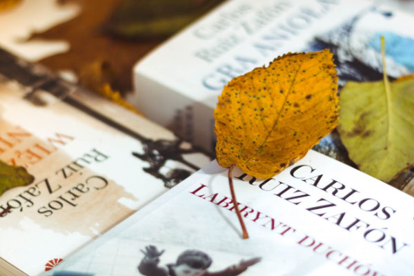 ���ڳ���Ӣ������������