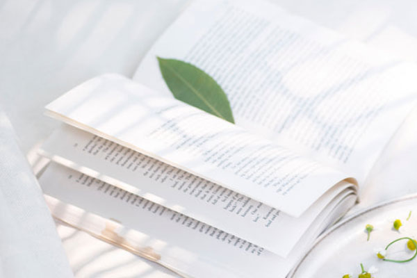 ���ź��Ŀ�����ô�����շѱ�׼����Ǯ��