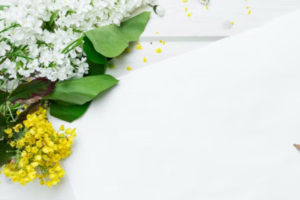 ֣�ݺ��Ŀ�����ô�����շѱ�׼����Ǯ��