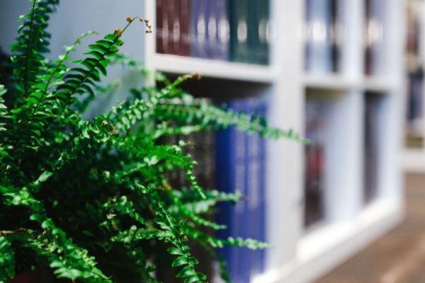 �������и�����۸��Ŀ��