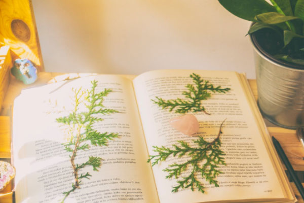 �������и�����۸��Ŀ��