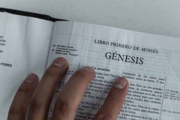 �ߺ����и�����۸��Ŀ��