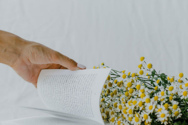 ���˿��и�����۸��Ŀ��