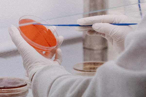 �Ž����и�����۸��Ŀ��