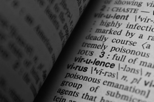 �������и�����۸��Ŀ��