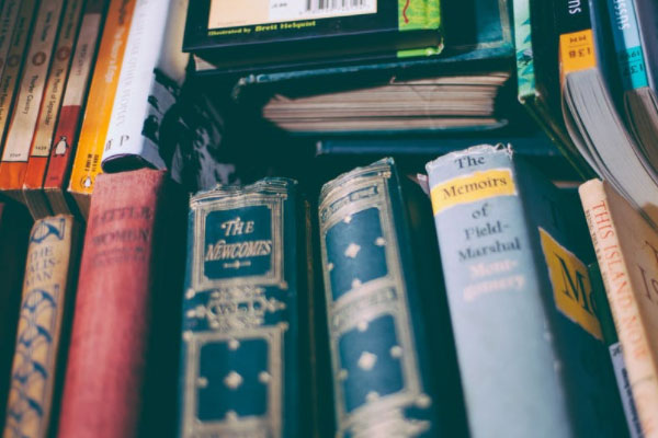 �绯���и�����۸��Ŀ��