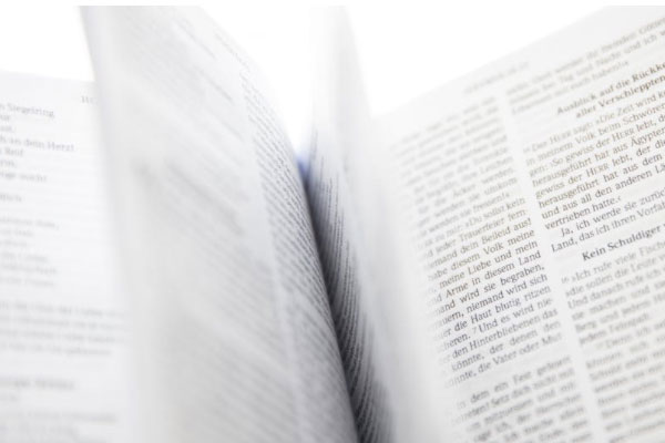 �Ӱ����и�����۸��Ŀ��