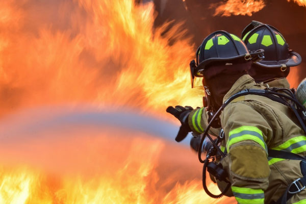 �������������Ҳ���֤ȥ���￼����Ҫ����Ǯ��