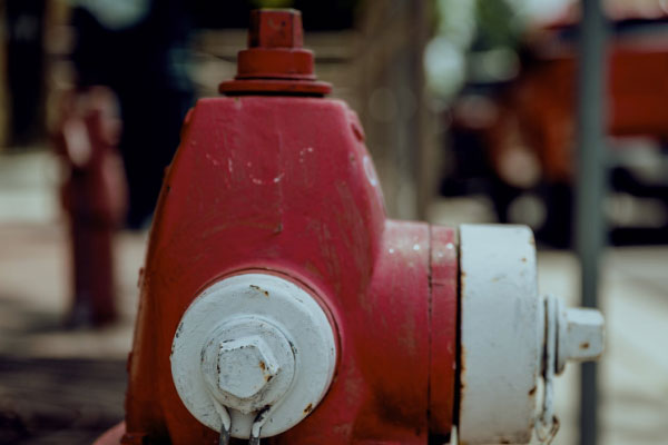 �������������Ҳ���֤ȥ���￼����Ҫ����Ǯ��