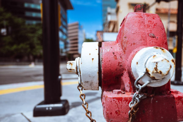 ʯ��ׯ���������Ҳ���֤ȥ���￼����Ҫ����Ǯ��