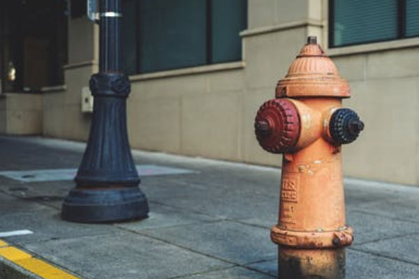 �������������Ҳ���֤ȥ���￼����Ҫ����Ǯ��