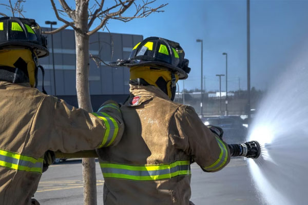 ��Ȫ���������Ҳ���֤ȥ���￼����Ҫ����Ǯ��