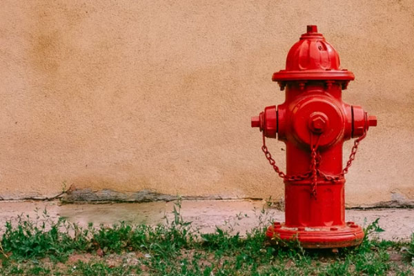 �������������Ҳ���֤ȥ���￼����Ҫ����Ǯ��