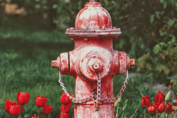 �������������Ҳ���֤ȥ���￼����Ҫ����Ǯ��