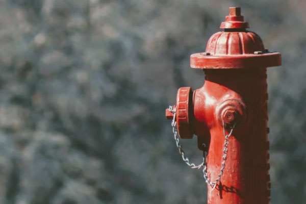 �ٷ����������Ҳ���֤ȥ���￼����Ҫ����Ǯ��