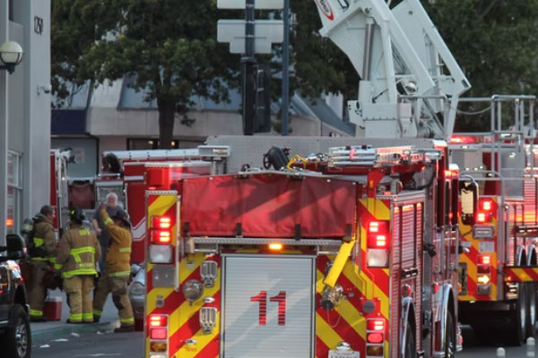 �������������Ҳ���֤ȥ���￼����Ҫ����Ǯ��