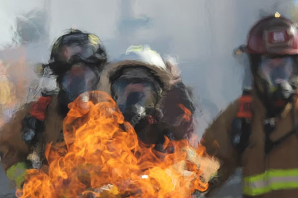 �������������Ҳ���֤ȥ���￼����Ҫ����Ǯ��