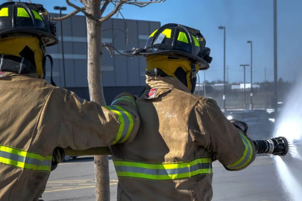 �������������Ҳ���֤ȥ���￼����Ҫ����Ǯ��