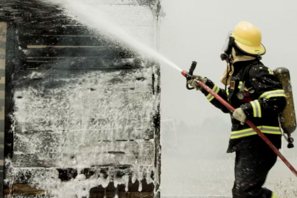 �������������Ҳ���֤ȥ���￼����Ҫ����Ǯ��