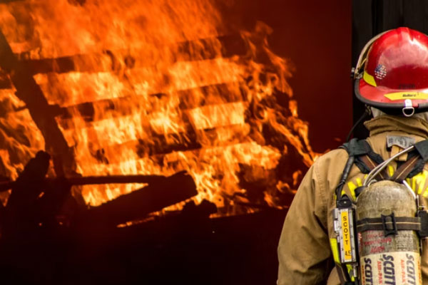 �������������Ҳ���֤ȥ���￼����Ҫ����Ǯ��