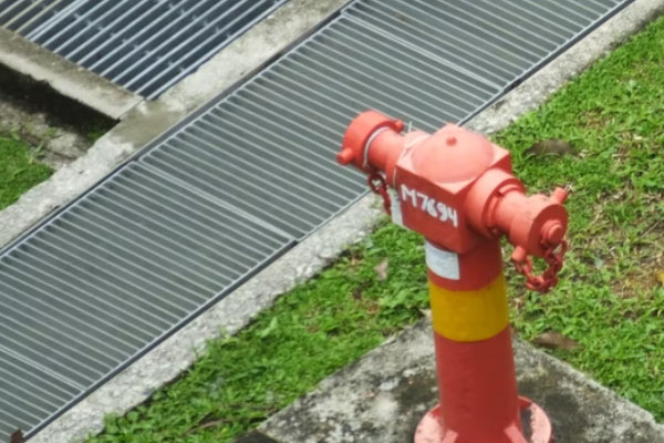 �������������Ҳ���֤ȥ���￼����Ҫ����Ǯ��