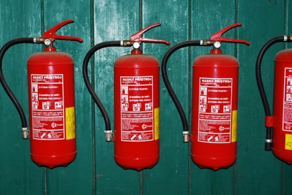 �������������Ҳ���֤ȥ���￼����Ҫ����Ǯ��