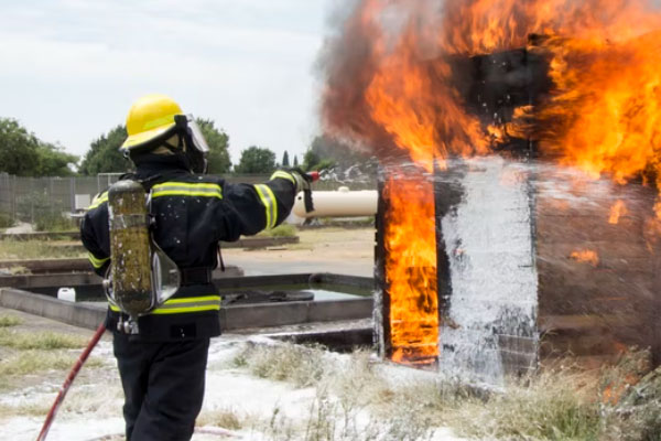 �������������Ҳ���֤ȥ���￼����Ҫ����Ǯ��