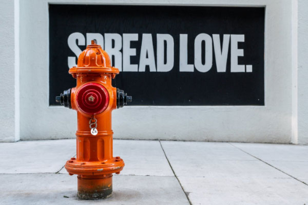 �������������Ҳ���֤ȥ���￼����Ҫ����Ǯ��