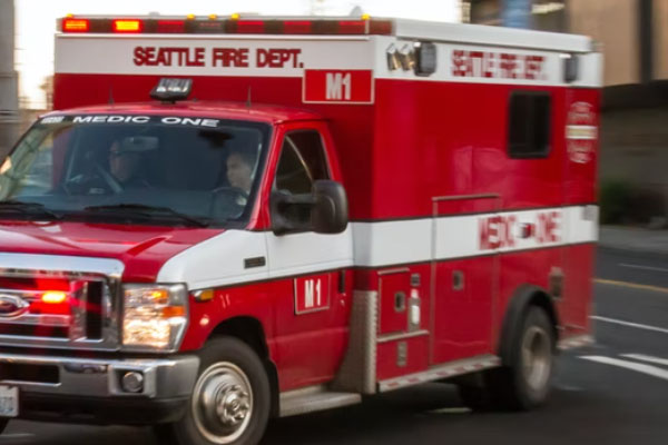 ������������Ҳ���֤ȥ���￼����Ҫ����Ǯ��