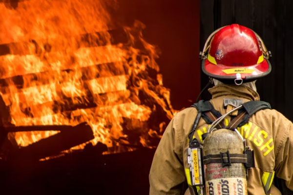 Т�����������Ҳ���֤ȥ���￼����Ҫ����Ǯ��