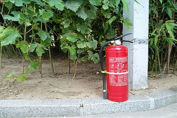 �������������Ҳ���֤ȥ���￼����Ҫ����Ǯ��