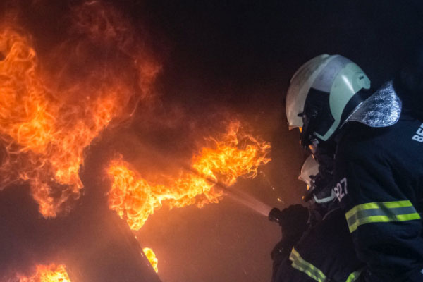 �������������Ҳ���֤ȥ���￼����Ҫ����Ǯ��