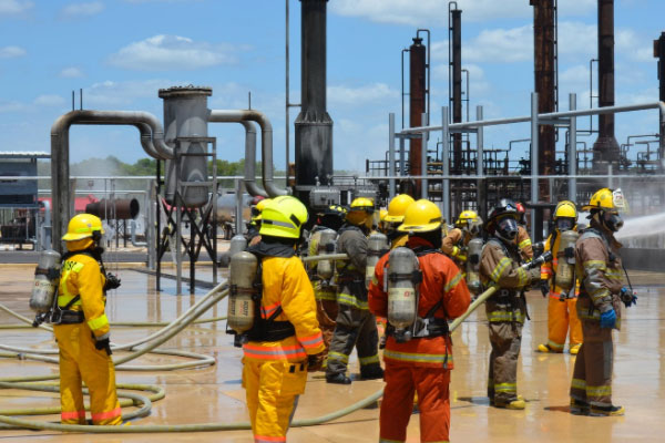 �������������Ҳ���֤ȥ���￼����Ҫ����Ǯ��