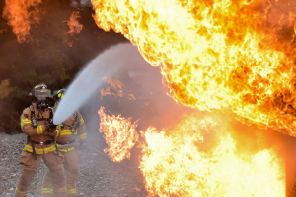 �������������Ҳ���֤ȥ���￼����Ҫ����Ǯ��