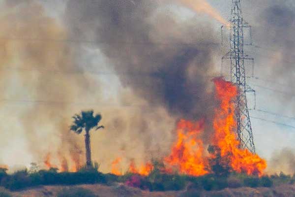 �������������Ҳ���֤ȥ���￼����Ҫ����Ǯ��