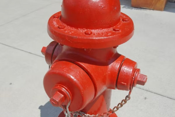 ��³ľ�����������Ҳ���֤ȥ���￼����Ҫ����Ǯ��