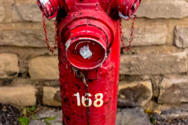 �½����������Ҳ���֤ȥ���￼����Ҫ����Ǯ��