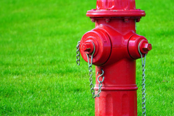 �ຣ���������Ҳ���֤ȥ���￼����Ҫ����Ǯ��