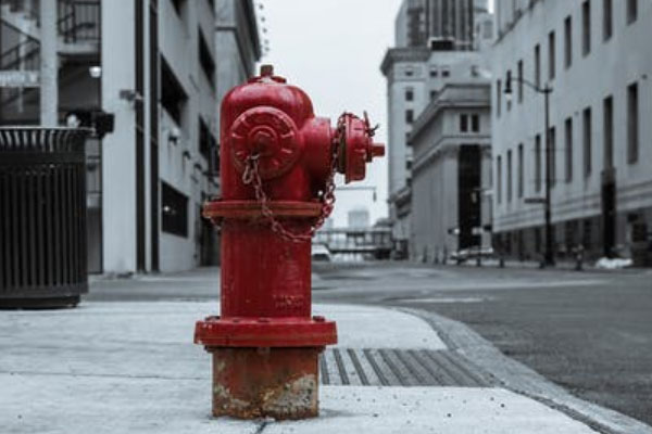 ��ԭ���������Ҳ���֤ȥ���￼����Ҫ����Ǯ��