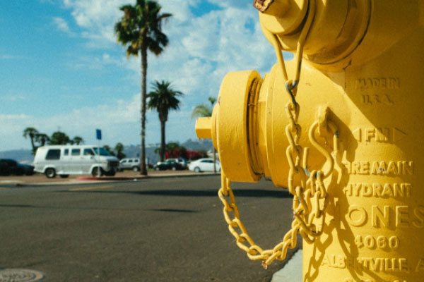 �������������Ҳ���֤ȥ���￼����Ҫ����Ǯ��